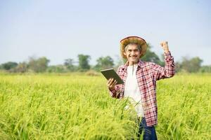 happy asian senior smart farmer standing in paddy field, one hand holding tablet computer and other hand doing hand fist for the success of using technology in rice planting photo