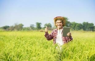 happy asian senior smart farmer standing in paddy field, one hand holding tablet computer and other hand doing thumb up for the success of using technology in rice planting photo