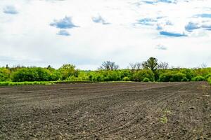 Photography on theme big empty farm field for organic harvest photo