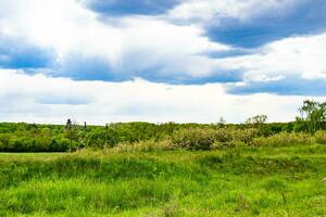 hermoso paisaje de horizonte en la pradera del pueblo sobre fondo natural de color foto