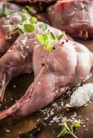 Raw rabbit legs salt pepper and herbs on butcher board photo