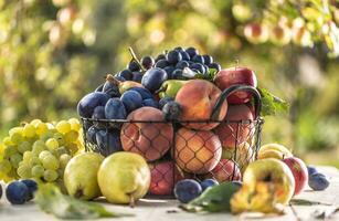 Assortment of fresh fruits on a garden table in a wire basket photo