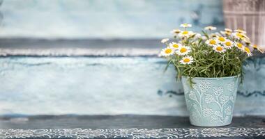 A blue bucket or flowerpot full of lovely and aromatic summer flowers photo