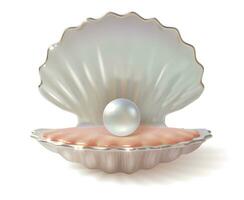 Realistic 3d Detailed Shiny Pearl in Shell. Vector