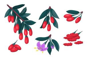 Cartoon Color Different Goji Plant Berries Set. Vector