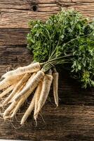 Close-up parsnip with parsley top on wooden board photo