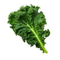 Green kale leaves isolated png