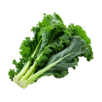 Green kale leaves isolated png