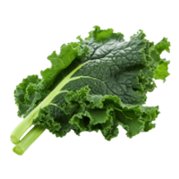 Green kale leaves isolated png