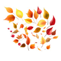 Autumn falling leaves isolated png