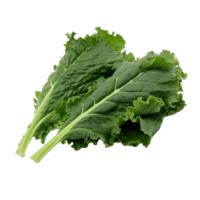 Green kale leaves isolated png