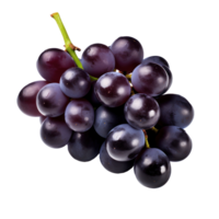 Fresco uvas aislado en transpaten antecedentes png