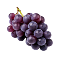 Fresco uvas aislado en transpaten antecedentes png