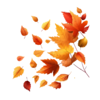 Autumn falling leaves isolated png