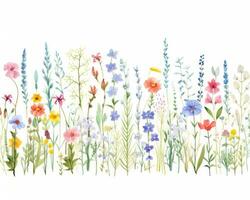Watercolor flower pattern isolated photo