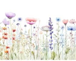 Watercolor flower pattern isolated photo