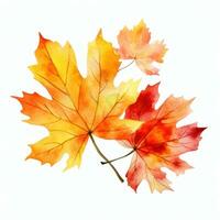 Autumn background with watercolor maple leaves photo
