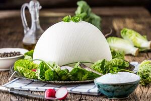 Cow Ceese. Fresh white cow cheese with lettuce salad radish salt pepper and olive oil photo