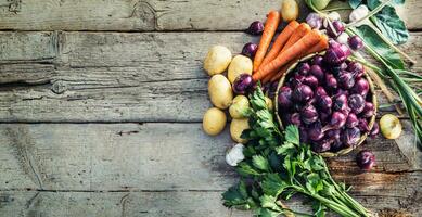 Red onion in bronze bowl garlic carrot potatoes celery herbs and kohlrabi on garden table - Top of view. Close-up fresh healthy vegetable photo