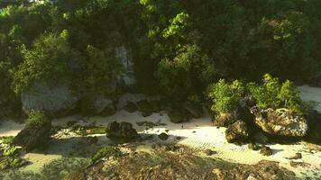 bellissimo spiaggia fuco tiro metraggio video