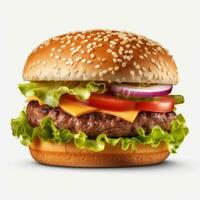 Hot tasty hamburger isolated photo