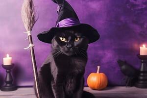 Black cat in a purple hat sits on a broomstick - photo