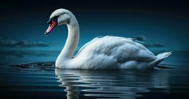 blanco cisne nadando en el agua - ai generativo foto