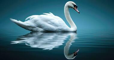 blanco cisne nadando en el agua - ai generativo foto