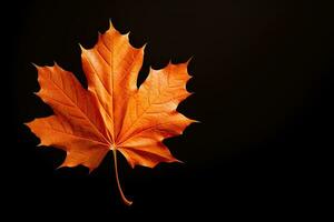 Autumn maple leaf on black background. Copy space - AI Generative photo