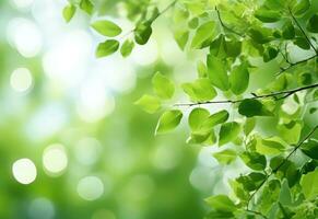 Fresh green leaves background - AI Generative photo