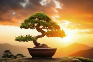 Bonsai tree on sunset - AI Generative photo