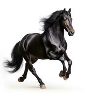negro caballo correr galope aislado foto