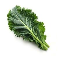 Green kale leaves isolated photo