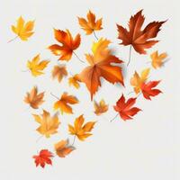 Autumn falling leaves isolated photo