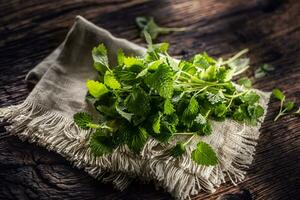 Naturally green melissa herbs on rustic jute or flax napkin folded on dark wood photo