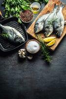 Mediterranean fish bream with spices salt herbs garlic and lemon. Healthy seafood. Concept of healthy sea food photo