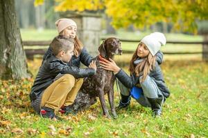 Two girls and a boy pet a brown dog on a colorful fall day in the park photo