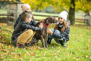 niños caminando un alemán puntero al aire libre, caricias el perro en un otoño día foto