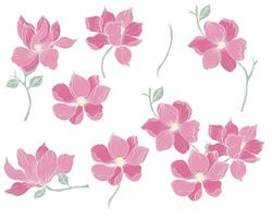 Hand Drawn Magnolia Flower Element vector