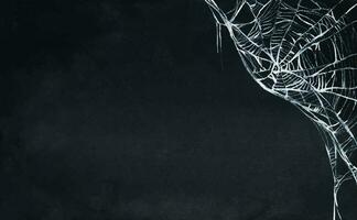 Spider web silhouette against black wall. Halloween theme dark background. Watercolor background. vector