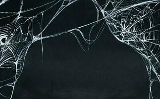 Spider web silhouette against black wall. Halloween theme dark background. Watercolor background. vector