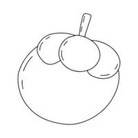 Doodle mangosteen vector illustration. Hand drawn mangosteen fruit sketch