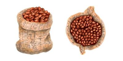 Coffee beans in a woven canvas bag. Top and front view. Arabica coffee. Cappuccino, mocha, espresso, latte, chocolate ingredient. International coffee day.Hand drawn marker art. vector