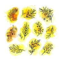 Hand drawn herbs, twigs bright aquarelle vector