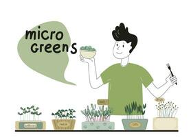 microgreens in a container. Healthy vegan food. Vector set llustration in doodle style