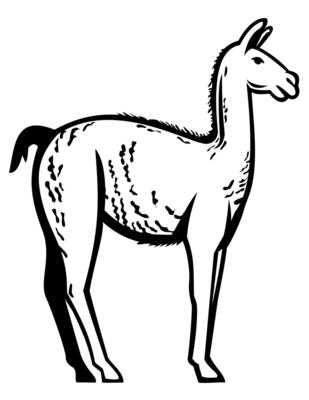 Wild Guanaco or Lama Guanicoe Side View Retro Mascot