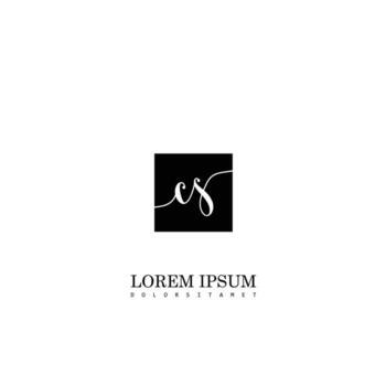 CS Initial Handwriting In Square Frame Template Design vector