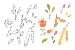 Set of abstract autumn leaves, berries, seeds and catkins. Black and white and color clipart vector illustration.