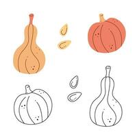 A small set with a pumpkin and a seeds of pumpkin. Black and white and color clipart vector illustration.