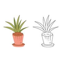 Plant in the pot. Black and white and color clipart vector illustration.